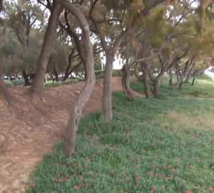 Carretera Del Arenal Balneario