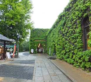 Uliczki starego miasta.