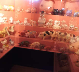 SchweineMuseum