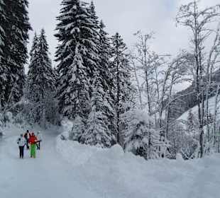 Super Schnee bei Andrea