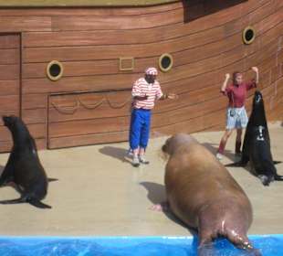 Clyde und Seamore Show