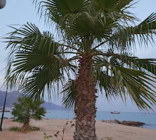Strand Kardamena
