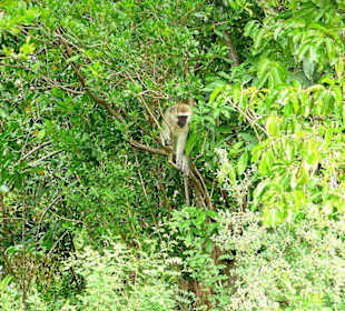 Was gibt es denn da?