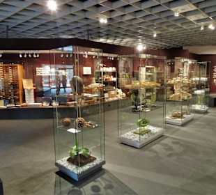 In der Depotausstellung des Museums