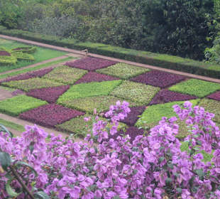 Botanischer Garten Funchal