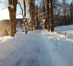 Wandern Bad Kohlgrub