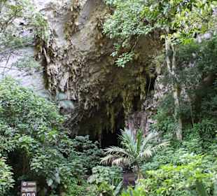 Ein- bzw Ausgang der Höhle