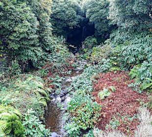 Inselrundfahrt Faial