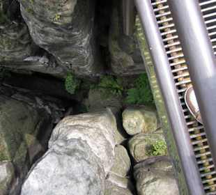 Blick nach unten von Brücke