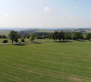 Rozhledna U borovice