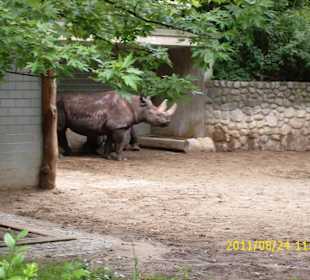 Besuch im Berliner Zoo