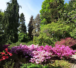 Eindrücke vom Rundgang durch den Berggarten