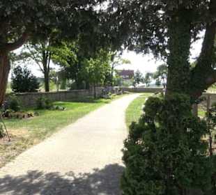 Friedhof Wendelsheim