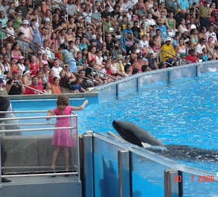 Sea World Orlando