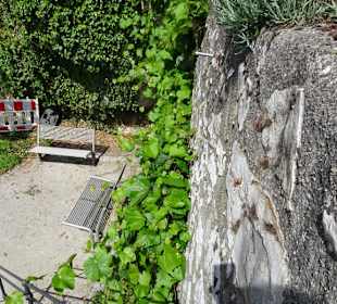 Unterwegs in den Terrassengärten Hollfeld