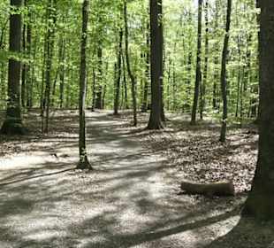 Wanderweg Hochgehwachsen
