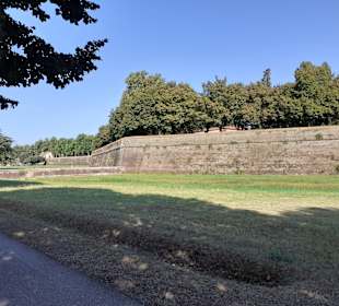 Stadtmauer Lucca