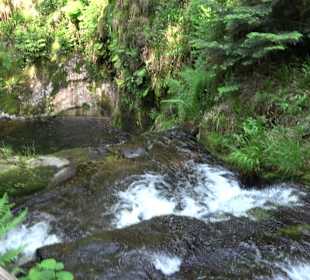 Wasserfälle Allerheiligen
