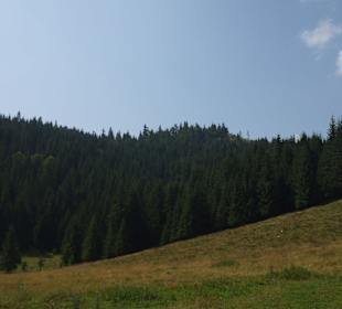 Parcul Natural Apuseni