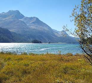 Silser See im Spätsommer
