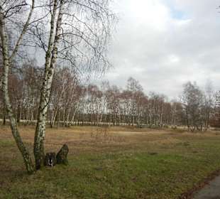 Naturschutzgebiet Boberger Niederung
