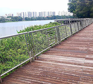 Jurong Lake und Gärten