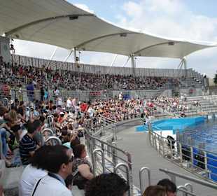 Aquarium L’Oceanogràfic
