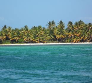 Palmen und weißer Sand
