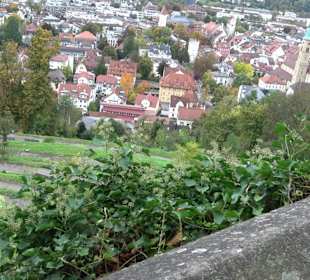 Aussichtspunkt an der Veitsburg