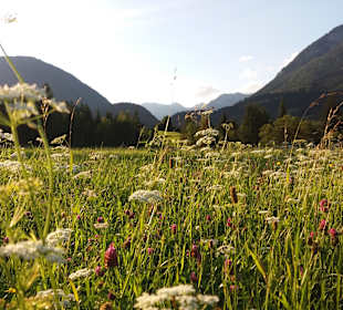 Wandern Pichl-Kainisch