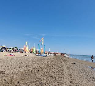 Herrlich da zu Laufen