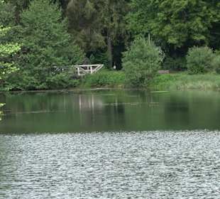 Waldsee Lützenhardt