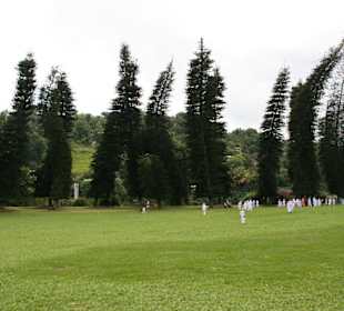 Botanischer Garten Kandy