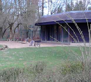 Tierpark Hellabrunn in München