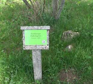 Strauchlehrpfad