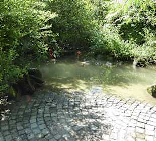 Großvoliere mit Vögeln