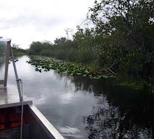 Minikrokodil von rechts, am Band?