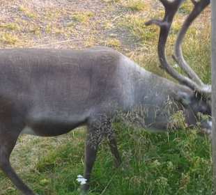 Unser Wecker um 04.30 Uhr