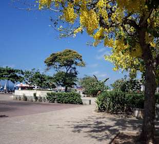 Ein toller Tag in Stone Town