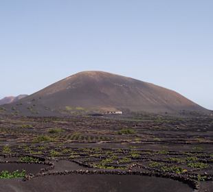 Blick auf die Feuerberge 