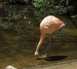 Exotische Fauna und Flora zum anfassen