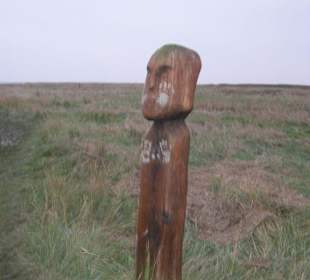 Skulpturen am Strand