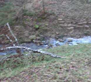 Ochsenweiher Rundweg