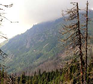  Wanderweg- Meeresauge Zakopane. 