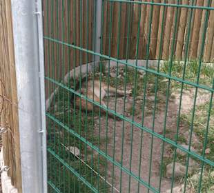 Zoo Ohrada Hluboká nad Vltavou