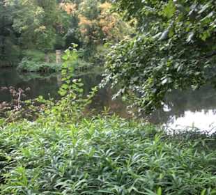 Tiergartengewässer