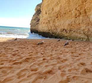 Praia de Nossa Senhora da Rocha