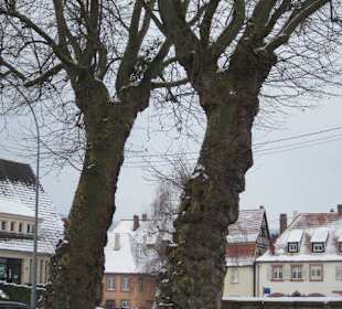 Altstadt Wissembourg im Winter
