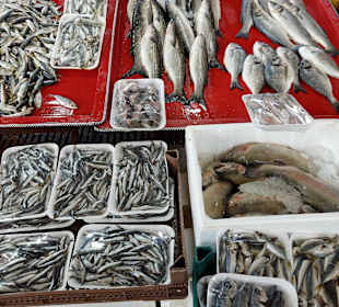 Stadtrundgang Side - Gündogdu