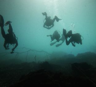 Höhlentauchen "el Dudu"
